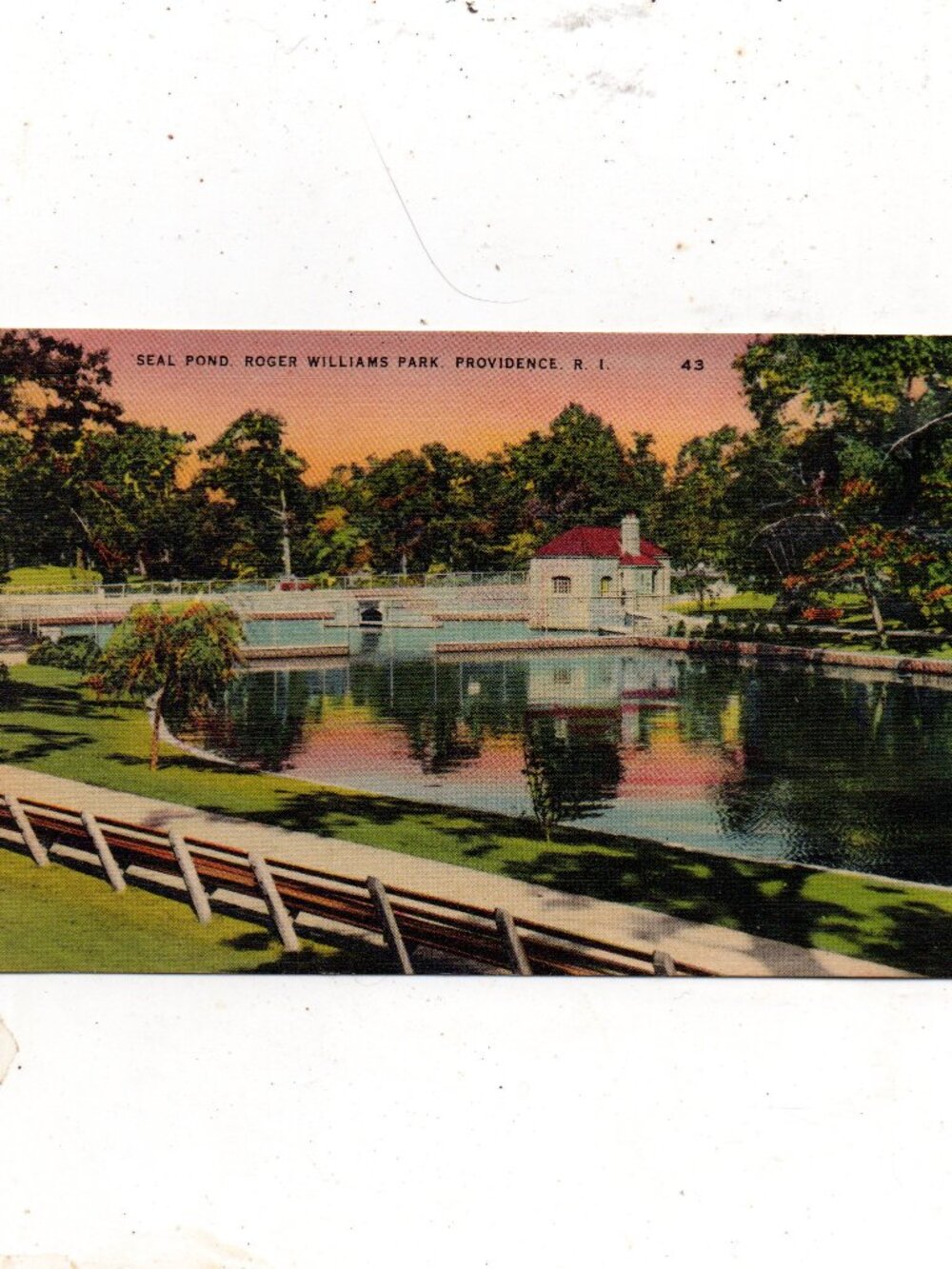 Vintage Postcard - Seal Pond Roger Williams Park Providence RI
